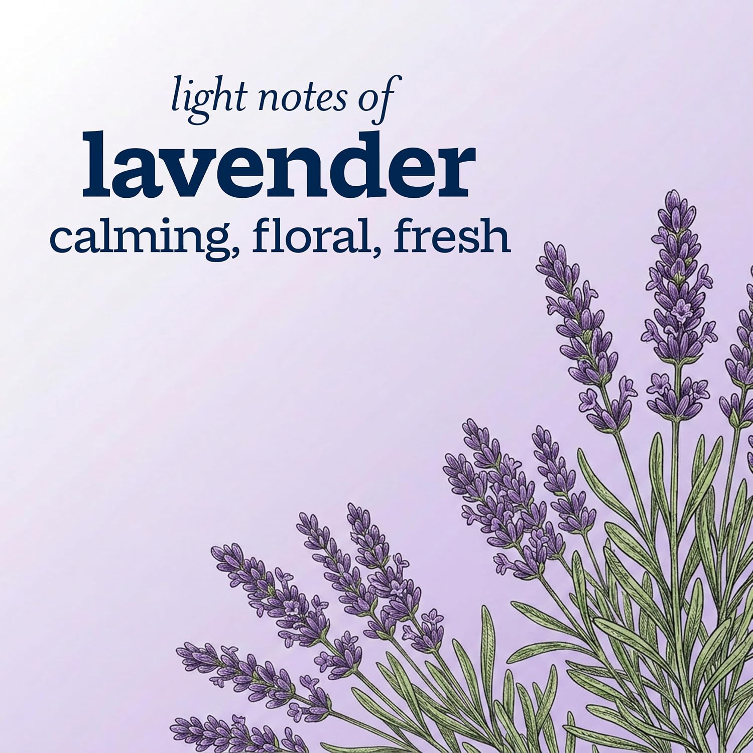 Body wash. Gentle formula. Lavender scent. 35 oz.
